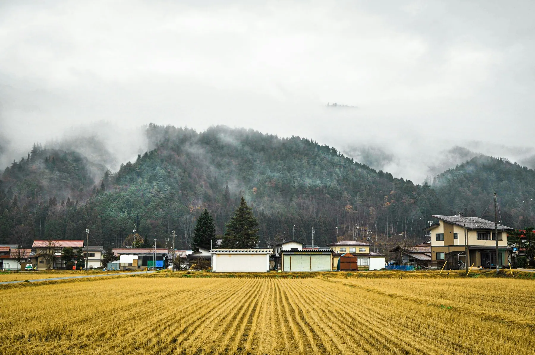 山あいに広がる田んぼと集落
